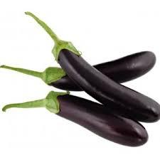 Brinjal Long