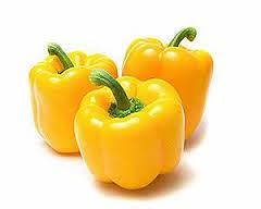 CAPSICUM YELLOW