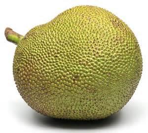 Jackfruit