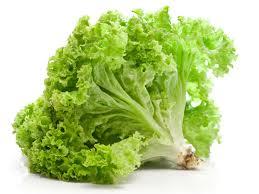 Lettuce