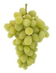 Grapes Green