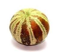 Muskmelon