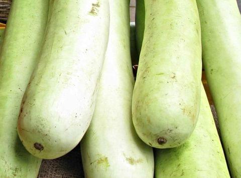 Bottle Gourd (approx. 300gms to 600gms)