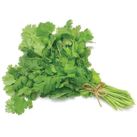 Coriander Hybrid