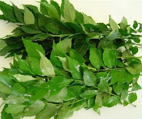 Curry leaves