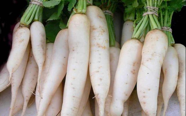 Radish