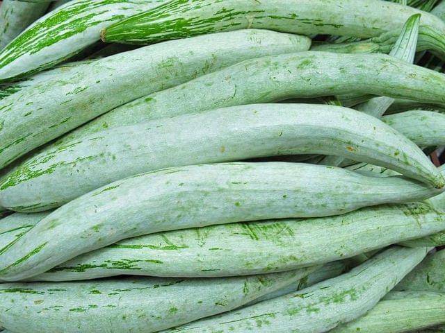 Snake Gourd