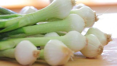 Spring Onion