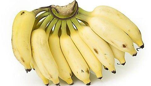 Yelakki Banana